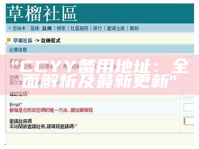 "CCYY备用地址：全面解析及最新更新"