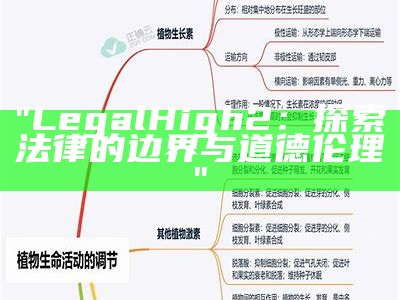 "LegalHigh2：探索法律的边界与道德伦理"