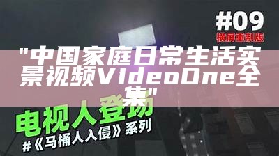 "中国家庭日常生活实景视频VideoOne全集"