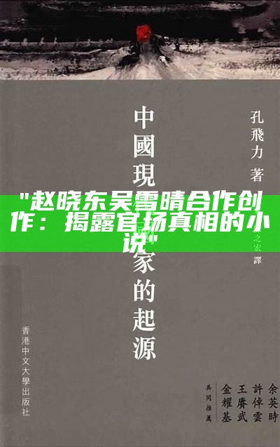 "赵晓东吴雪晴合作创作：揭露官场真相的小说"