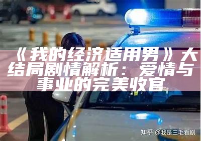 《我的经济适用男》大结局剧情解析：爱情与事业的完美收官