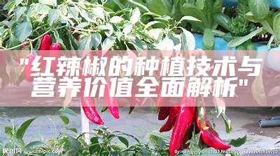 "红辣椒的种植技术与营养价值全面解析"