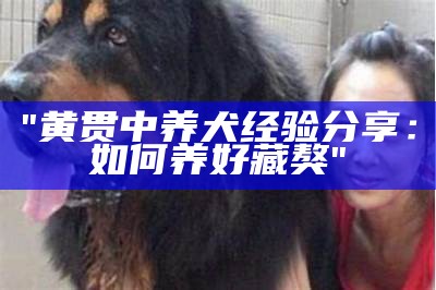 "黄贯中养犬经验分享：如何养好藏獒"