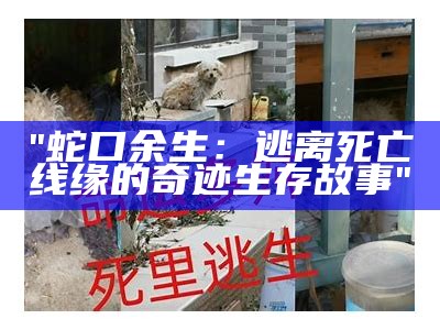 "蛇口余生：逃离死亡线缘的奇迹生存故事"