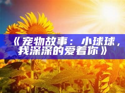 《宠物故事：小球球，我深深的爱着你》