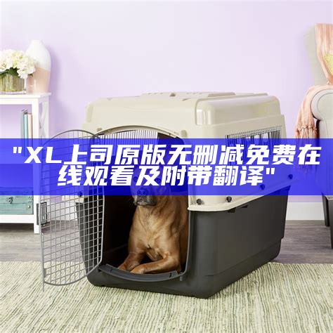 "XL上司原版无删减免费在线观看及附带翻译"