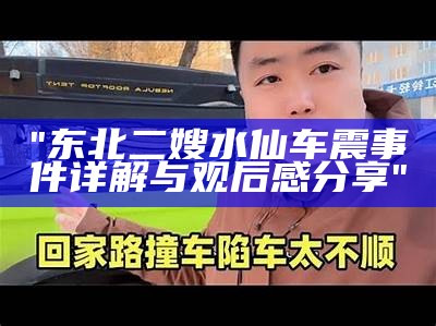 "东北二嫂水仙车震事件详解与观后感分享"