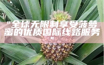 "全球无限制享受菠萝蜜的优质国际线路服务"