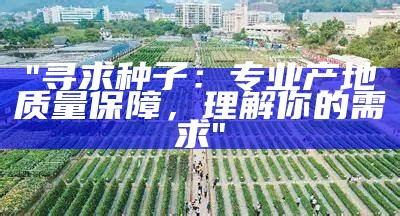 "寻求种子：专业产地质量保障，理解你的需求"