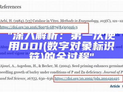 "深入解析：第一次使用DOI(数字对象标识符)的全过程"