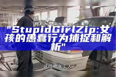 "Stupid Girl Zip: 女孩的愚蠢行为捕捉和解析"