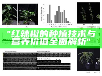 "红辣椒的种植技术与营养价值全面解析"