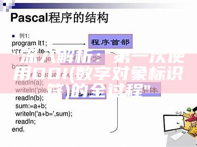 "深入解析：第一次使用DOI(数字对象标识符)的全过程"