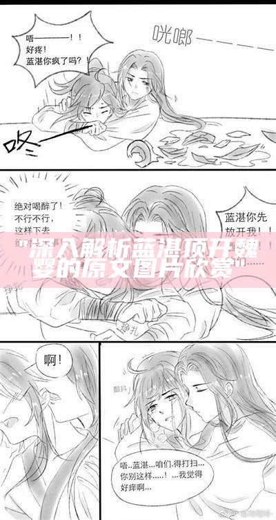 "深入解析蓝湛顶开魏婴的原文图片欣赏"