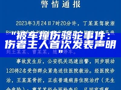 "被车撞伤骆驼事件：伤者主人首次发表声明"