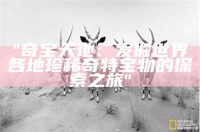 "奇宝天地：发掘世界各地珍稀奇特宝物的探索之旅"