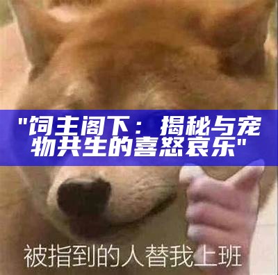 "饲主阁下：揭秘与宠物共生的喜怒哀乐"