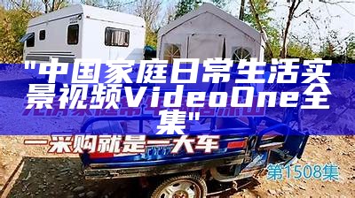 "中国家庭日常生活实景视频VideoOne全集"