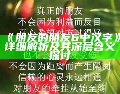 《朋友的朋友6中汉字》详细解析及其深层含义探讨