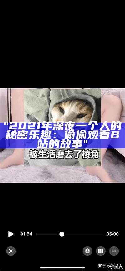 "2021年深夜一个人的秘密乐趣：偷偷观看B站的故事"