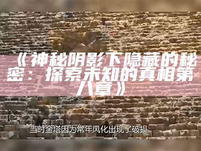 《神秘阴影下隐藏的秘密：探索未知的真相第八章》