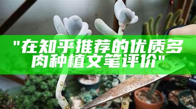 "在知乎推荐的优质多肉种植文笔评价"