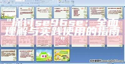 "探讨se96se：全面理解与实践使用的指南"