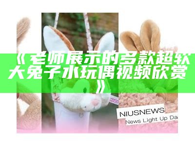 《老师展示的多款超软大兔子水玩偶视频欣赏》