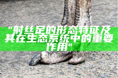 "射丝足的形态特征及其在生态系统中的重要作用"