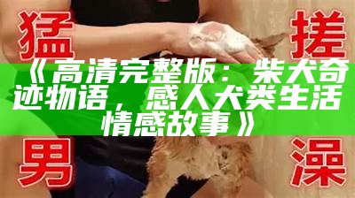 《高清完整版：柴犬奇迹物语，感人犬类生活情感故事》