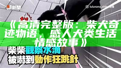 《高清完整版：柴犬奇迹物语，感人犬类生活情感故事》