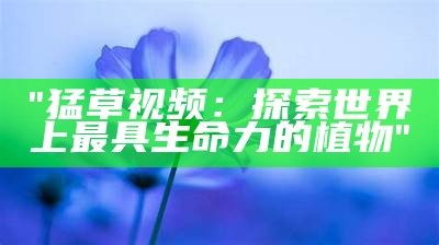 "猛草视频：探索世界上最具生命力的植物"