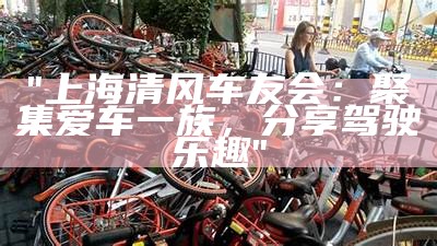 "上海清风车友会：聚集爱车一族，分享驾驶乐趣"