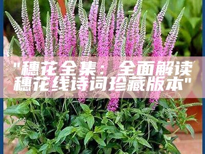 "穗花全集：全面解读穗花线诗词珍藏版本"