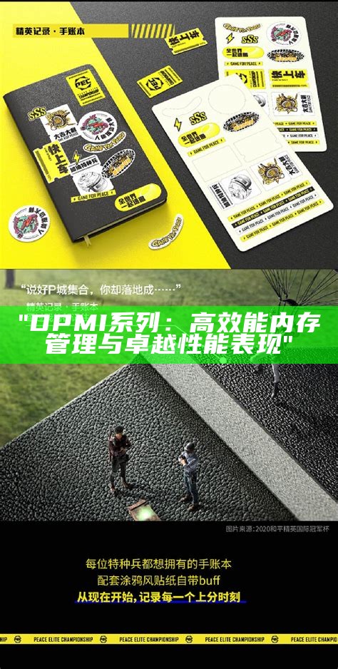 "DPMI系列：高效能内存管理与卓越性能表现"