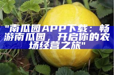 "南瓜园APP下载：畅游南瓜园，开启你的农场经营之旅"