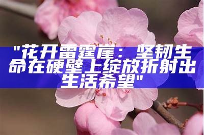 "花开雷霆崖：坚韧生命在硬壁上绽放折射出生活希望"