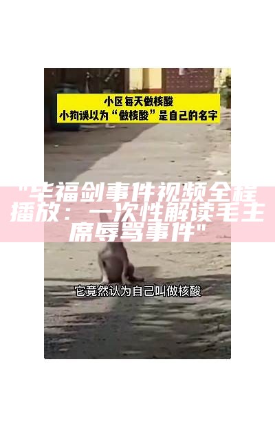 "毕福剑事件视频全程播放：一次性解读毛主席辱骂事件"