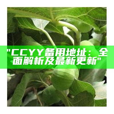 "CCYY备用地址：全面解析及最新更新"