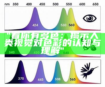 "看你有多色：揭示人类视觉对色彩的认知与理解"