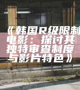 《韩国R级限制电影：探讨其独特审查制度与影片特色》