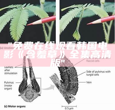 "免费在线观看韩国电影《含羞草》全集高清版"