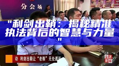 "利剑出鞘：揭秘精准执法背后的智慧与力量"