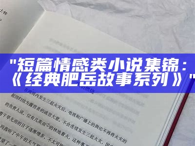 "短篇情感类小说集锦：《经典肥岳故事系列》"