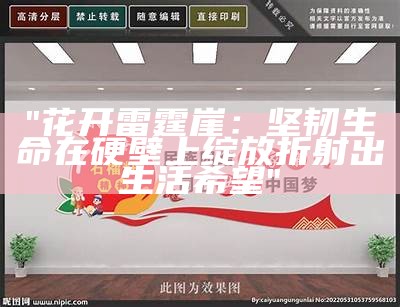 "花开雷霆崖：坚韧生命在硬壁上绽放折射出生活希望"