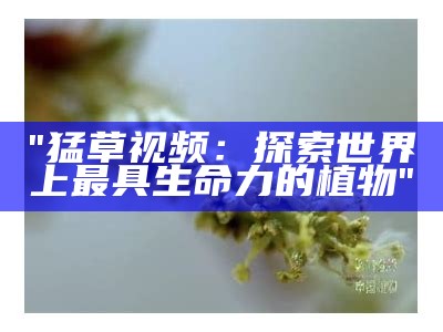 "猛草视频：探索世界上最具生命力的植物"